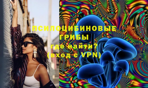 прущая мука Козельск
