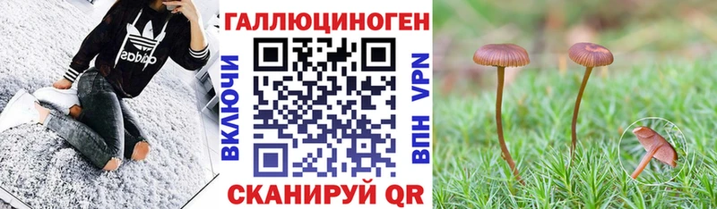 Купить Барабинск Галлюциногенные грибы прущие грибы